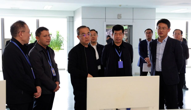 李鵬調(diào)研晨鳴集團復工復產(chǎn)工作